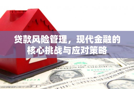 松桃贷款风险管理，现代金融的核心挑战与应对策略