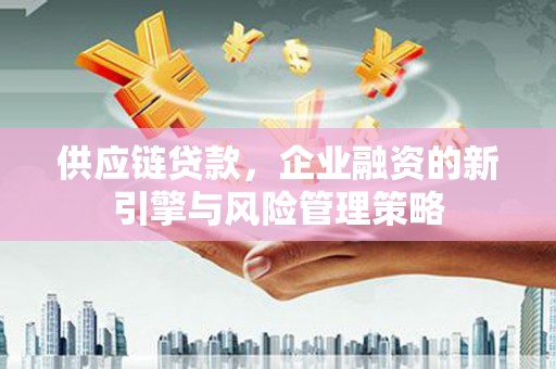 松桃供应链贷款，企业融资的新引擎与风险管理策略
