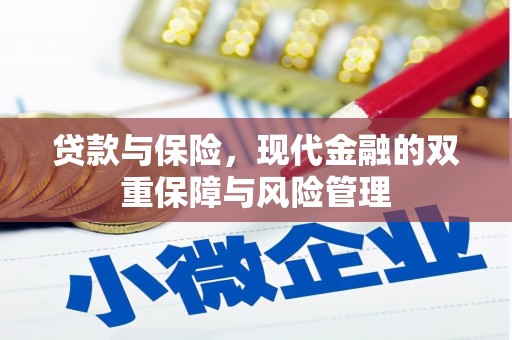 松桃贷款与保险，现代金融的双重保障与风险管理