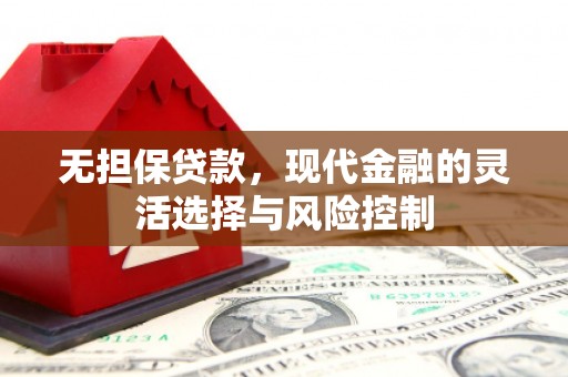 松桃无担保贷款，现代金融的灵活选择与风险控制