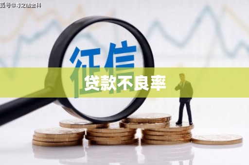 松桃贷款不良率