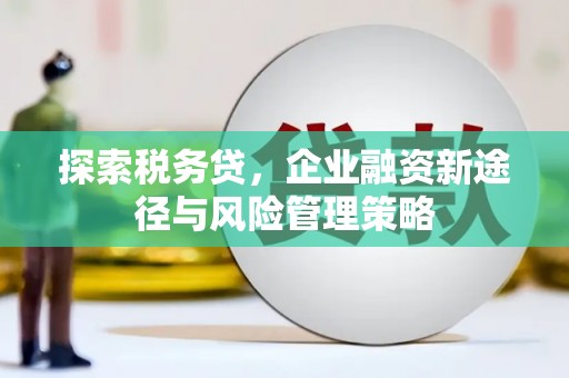 松桃探索税务贷，企业融资新途径与风险管理策略