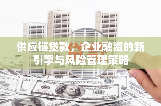 松桃供应链贷款，企业融资的新引擎与风险管理策略