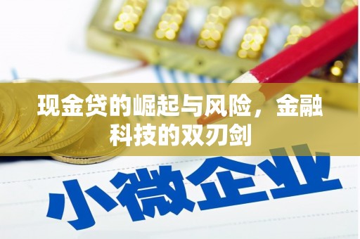 松桃现金贷的崛起与风险，金融科技的双刃剑