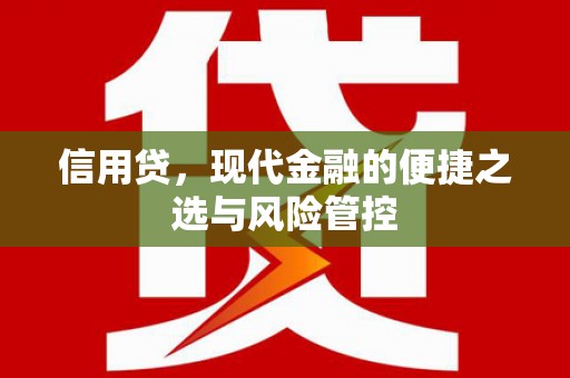 松桃信用贷，现代金融的便捷之选与风险管控