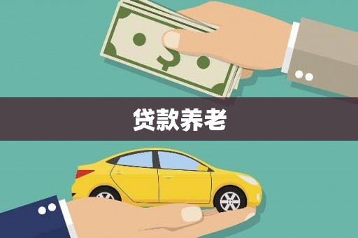 松桃贷款养老