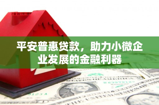 松桃平安普惠贷款，助力小微企业发展的金融利器