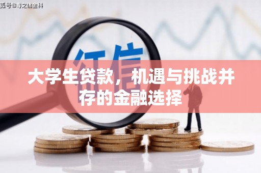 松桃大学生贷款，机遇与挑战并存的金融选择
