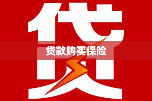 松桃贷款购买保险