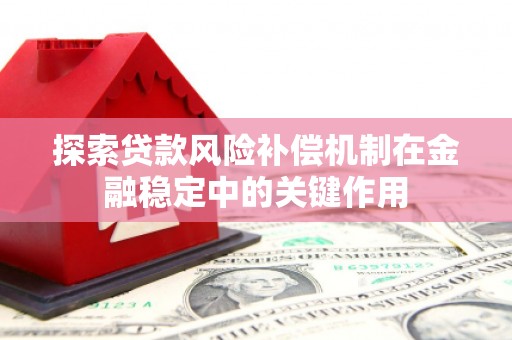 松桃探索贷款风险补偿机制在金融稳定中的关键作用