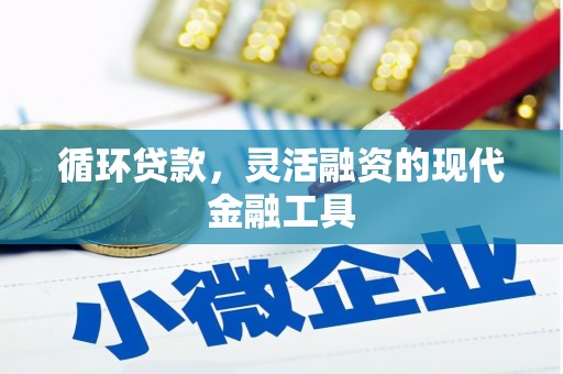 松桃循环贷款，灵活融资的现代金融工具