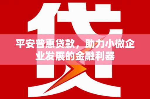 松桃平安普惠贷款，助力小微企业发展的金融利器