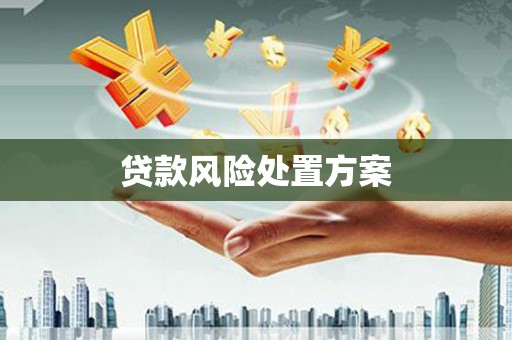 松桃贷款风险处置方案